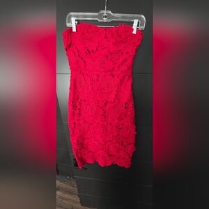 Express- Elegant Red Lace Dress